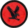 Atomic Eagle